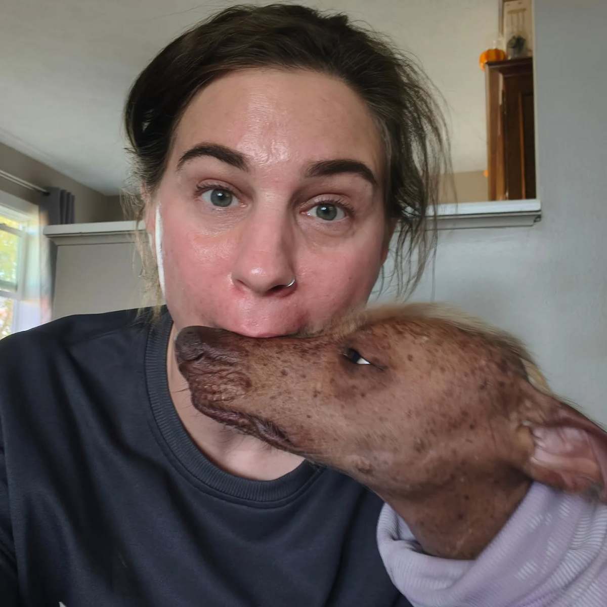 When Fostering Meets Reality: Remembering Our Resident Pets Matter&nbsp;Too