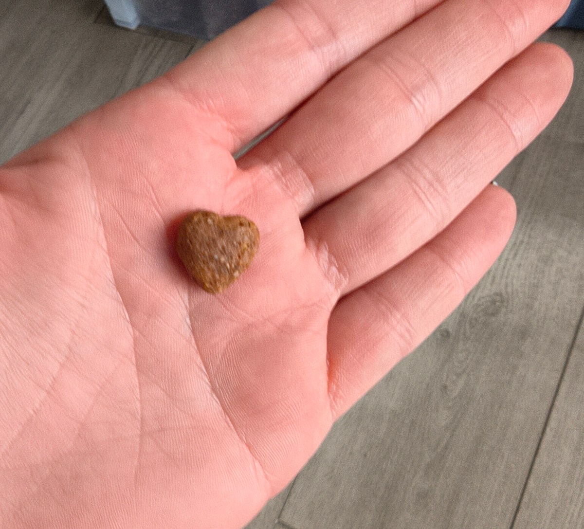 When “Doing Good” Is Used to Excuse Harm: A Hard Conversation the Rescue Community Needs to&nbsp;Have